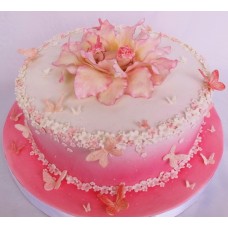 Детский торт "Розовое сияние"