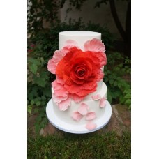 Торт "Цветущая роза"