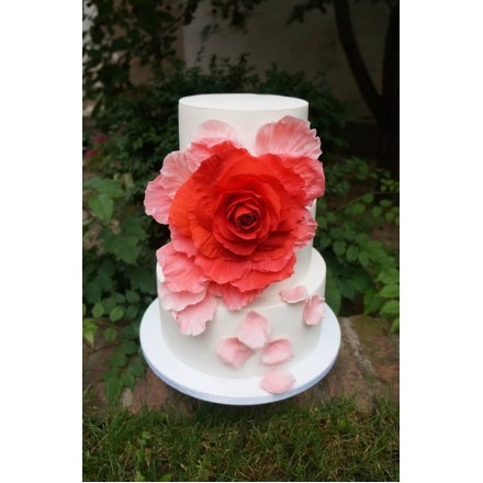 Торт "Цветущая роза"