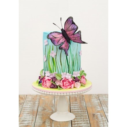 Детский торт "Весенняя бабочка"