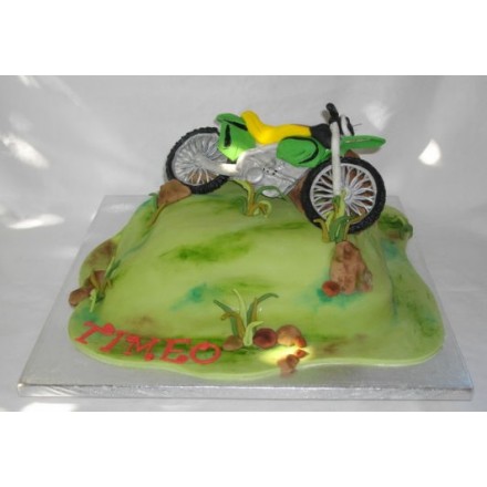 Торт "Мотоцикл на траве"