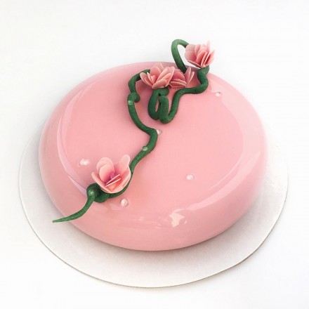 Торт с покрытием гляссаж "Веточка на розовом глянце"